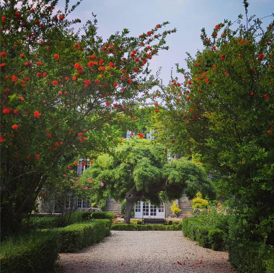 Chateau De Floure - Spa Et Piscine Exterieure Chauffee Καρκασόν Εξωτερικό φωτογραφία