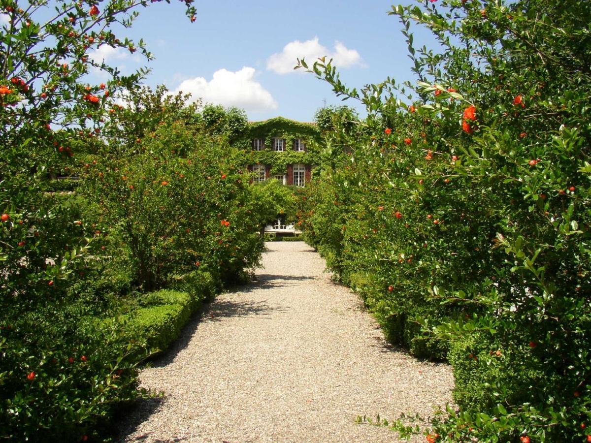 Chateau De Floure - Spa Et Piscine Exterieure Chauffee Καρκασόν Εξωτερικό φωτογραφία